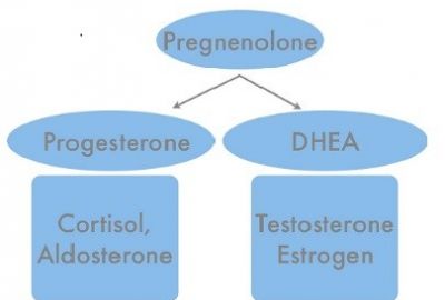 Pregnenolone – giải pháp bổ sung nội tiết tố an toàn cho nữ giới